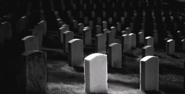 Microsoft’s Not Dead Yet