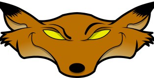 fox_head_color_2001x919