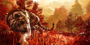 FC4ScreenShot_12_165475