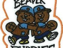 BeaverBuddies