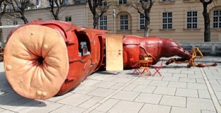 _wp-content_uploads_2010_04_rectumbar